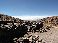 Altiplano et Condor