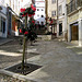 Coimbra, upwards the University