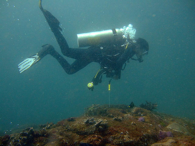 Diving in the depth of 40 meters