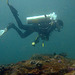 Diving in the depth of 40 meters