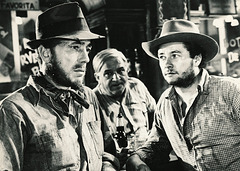 B.Traven: The treasure of the Sierra Madre