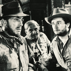 B.Traven: The treasure of the Sierra Madre