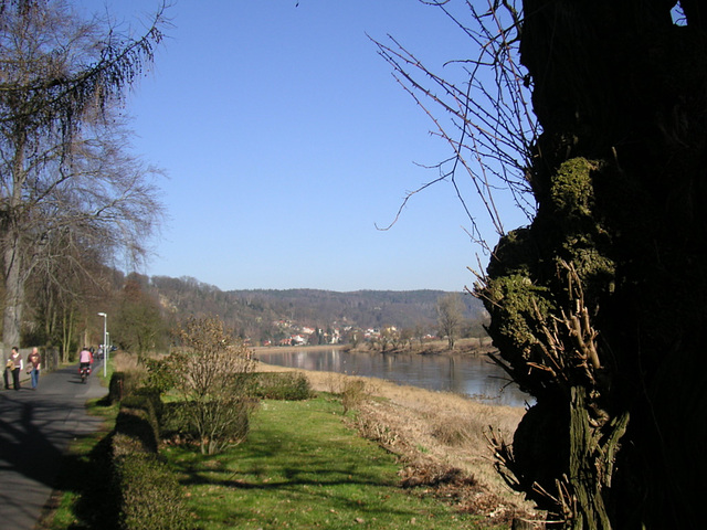 Kleiner Spaziergang an der Elbe