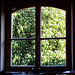 chestnut window