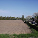 04 cornfield in april