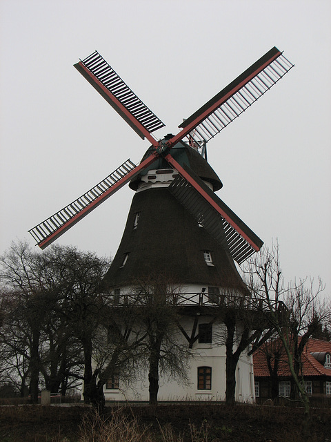 Mühle zu Wilhelmsburg # 1