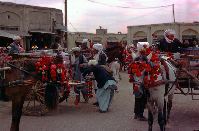 Horse coaches used as taxis