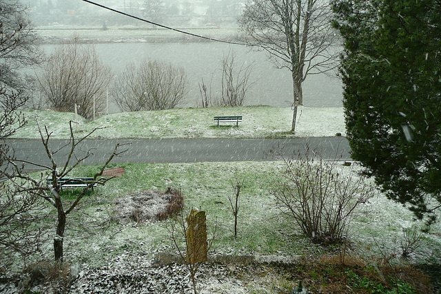 Schnee  am 24. März 2009