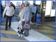 Dame blonde du bel âge en bottes de Dominatrice avec son toutou - Blonde mature in Dominatrix Boots with her dog- 19-10-2008 -  Aéroport de Bruxelles .