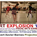 ArtExplosion.VisualArts.Library.FLFL.16feb09