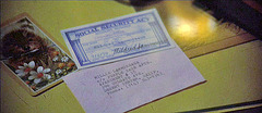 3 Women - Social Security Card (59)