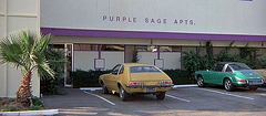3 Women - Purple Sage Apartments (47)