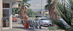 3 Women - Palm Springs Greyhound (76)