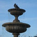 Pigeon fountain