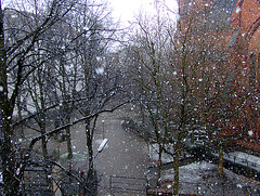 Winter in Hamburg