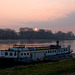 Schiff am Rhein