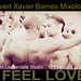I Feel Love - February 2009 - Elvert Barnes Mixology