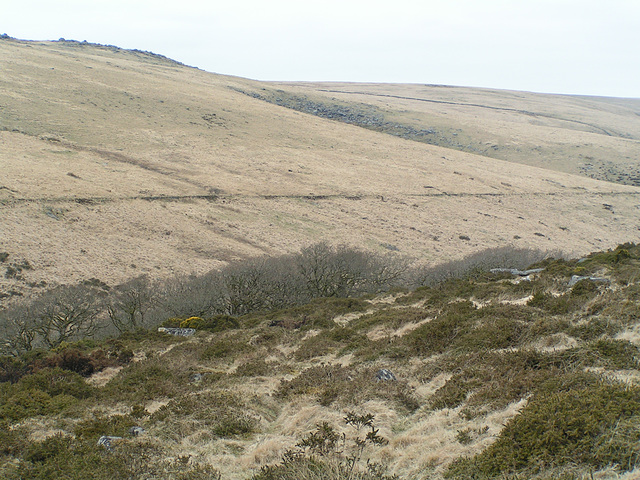 Dartmoor Dartmoor