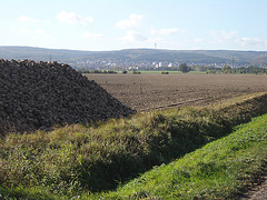 Blick auf den Deister mit Barsinghausen und Zuckerrüben
