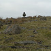 Dartmoor - Boss Sheep