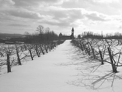 Abbaye St-Benoit-du-lac  /B & W - Noir et blanc.