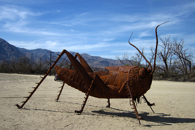 Ricardo Breceda's Scorpion & Grasshopper sculpture in Galleta Meadows Estate (4443)