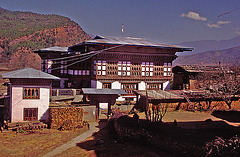 Our hosts farmhouse in the Paro valley