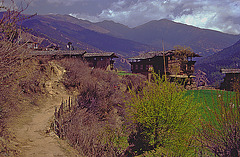Genekha village