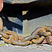 Chain (not the last one, yawn! )