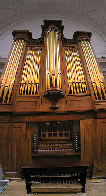 Pipe Organ - Thomas Appleton