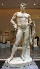 Youthful Hercules (7644)