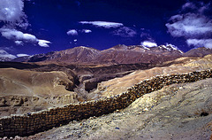 Protection wall against wild goats