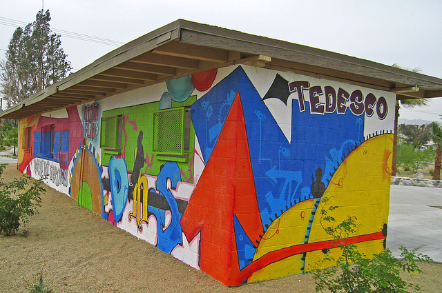 DHS Tedesco Park Mural (0731)