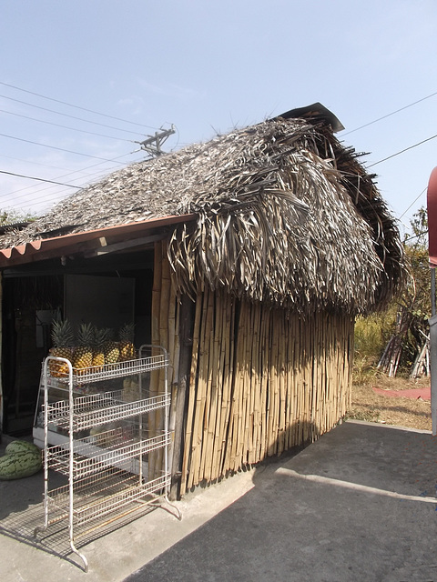 Cabaña à ananas / Pineapples shack / Cabana à piñas.