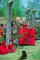 Monks watching the women dancing performance