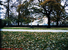 Fall Colors On Kampa, Picture 3, Prague, CZ, 2007