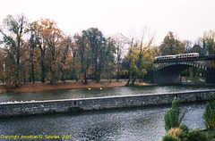 Fall Colors, Picture 5, Strelecky Ostrov, Prague, CZ, 2007