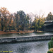 Fall Colors, Picture 5, Strelecky Ostrov, Prague, CZ, 2007