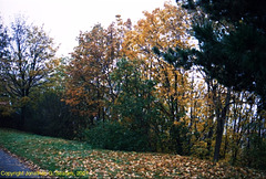 Fall Colors, Picture 4, Enhanced, Vysehrad, Prague, CZ, 2007