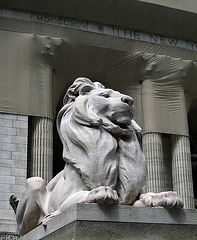 NYPL Lion (0911)