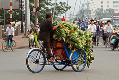 Banana Transporter