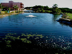Algarve, Vila Sol Hotel, lake