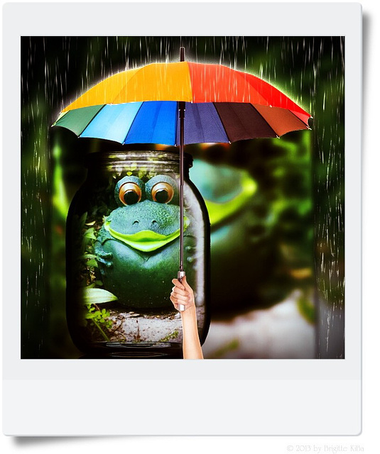 weather frog (chiche)