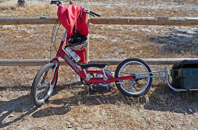 Seatless Big-Pedaled Boardrunner Bike (0036)
