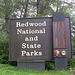 Redwood NP