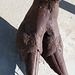 Ricardo Breceda's Camelops sculpture in Galleta Meadows Estate (4460)
