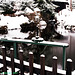 Snow in Josefuv Dul, Picture 5, Josefuv Dul, Liberecky Kraj, Bohemia (CZ), 2007