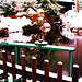 Snow in Josefuv Dul, Picture 5, High Saturation Edit, Josefuv Dul, Liberecky Kraj, Bohemia(CZ), 2007