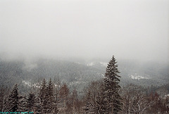 Snow In Josefuv Dul, Picture 7, Josefuv Dul, Liberecky Kraj, Bohemia(CZ), 2007