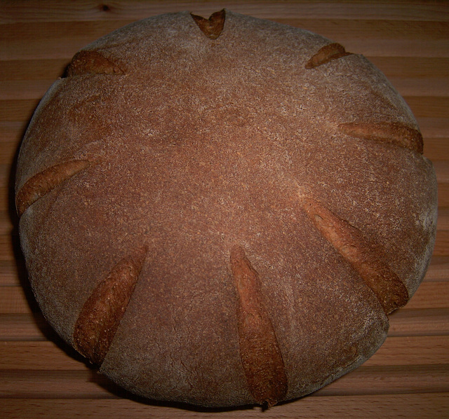 Pilgrim Brown Bread
